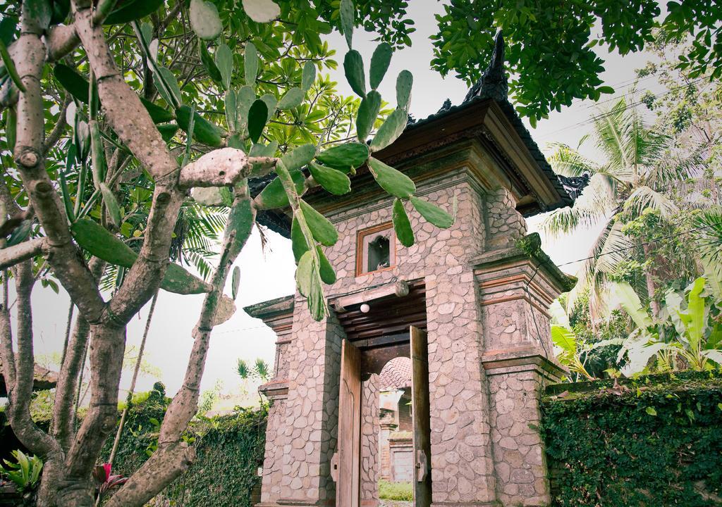 Murni'S Houses & Spa Ubud Exterior foto